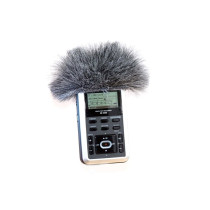 EDIROL RO5/TASCAM DR05 MINI WINDJAM