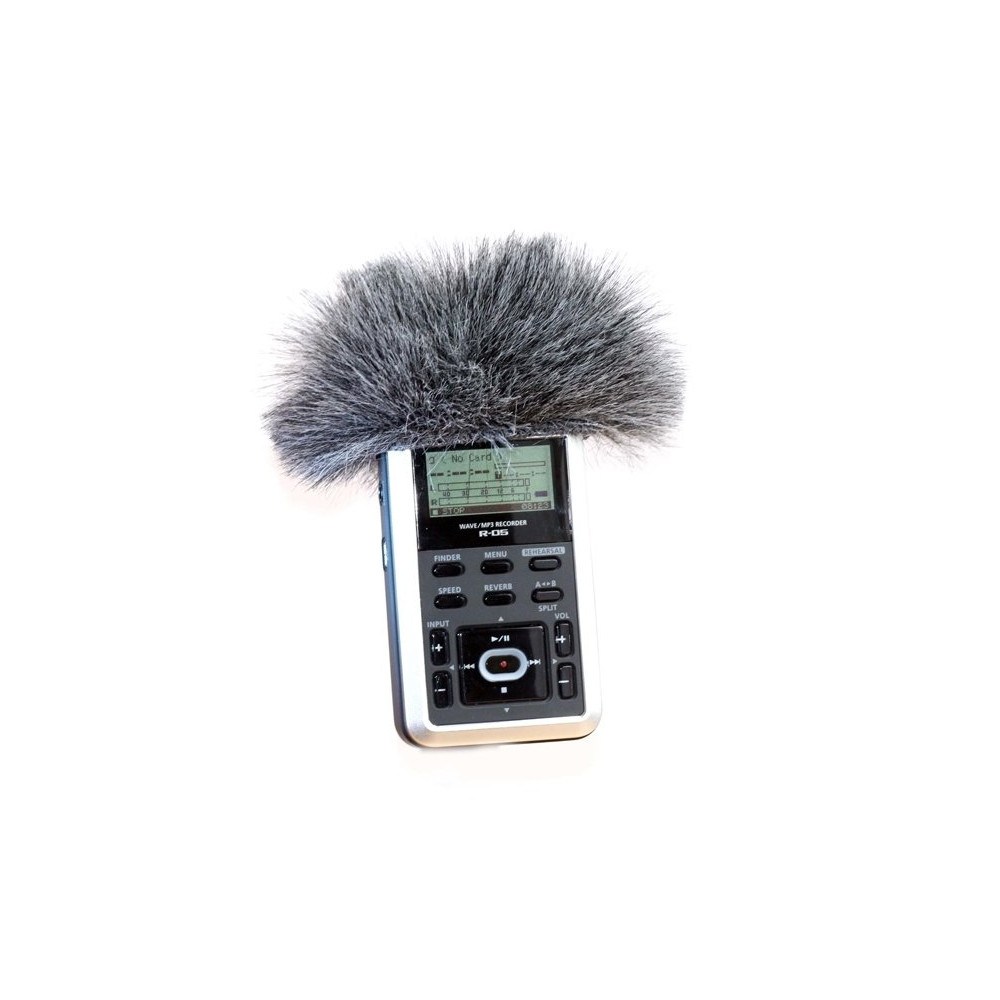 EDIROL RO5/TASCAM DR05 MINI WINDJAM