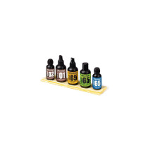 6500 System 65 Guitar Maintenance Kit