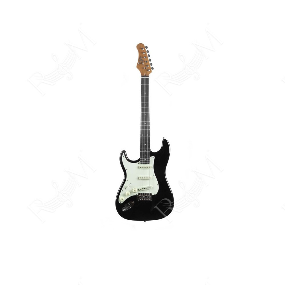 ST-300 Black LH