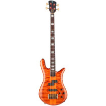 Euro4 Doug Wimbish Amber