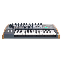MiniBrute 2