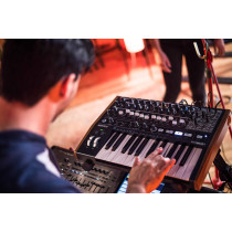 MiniBrute 2