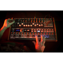 MiniBrute 2S