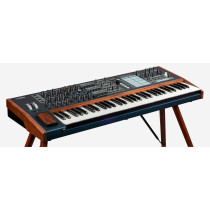 PolyBrute