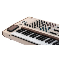 PolyBrute 12