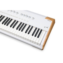 AstroLab 88