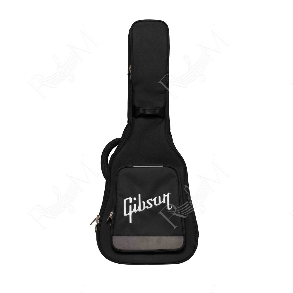 ASPGIG-LG Premium Gig Bag  Small-Body Black