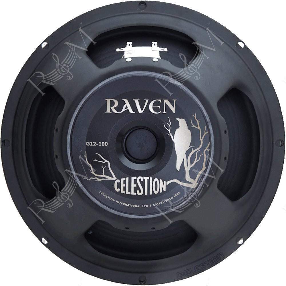 G12-100 Raven 12" 100W 8ohm