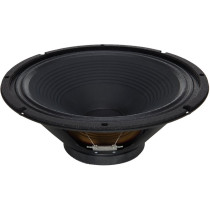 G12-100 Raven 12" 100W 8ohm