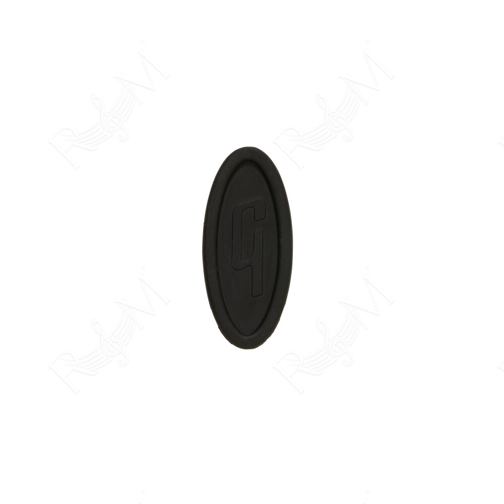 GA-FDBKSPR3 Acoustic Player Port Cover