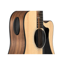 GA-FDBKSPR3 Acoustic Player Port Cover