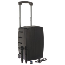 TR12-BT Altoparlante Portatile a Batteria con 2 Microfoni Wireless e Bluetooth