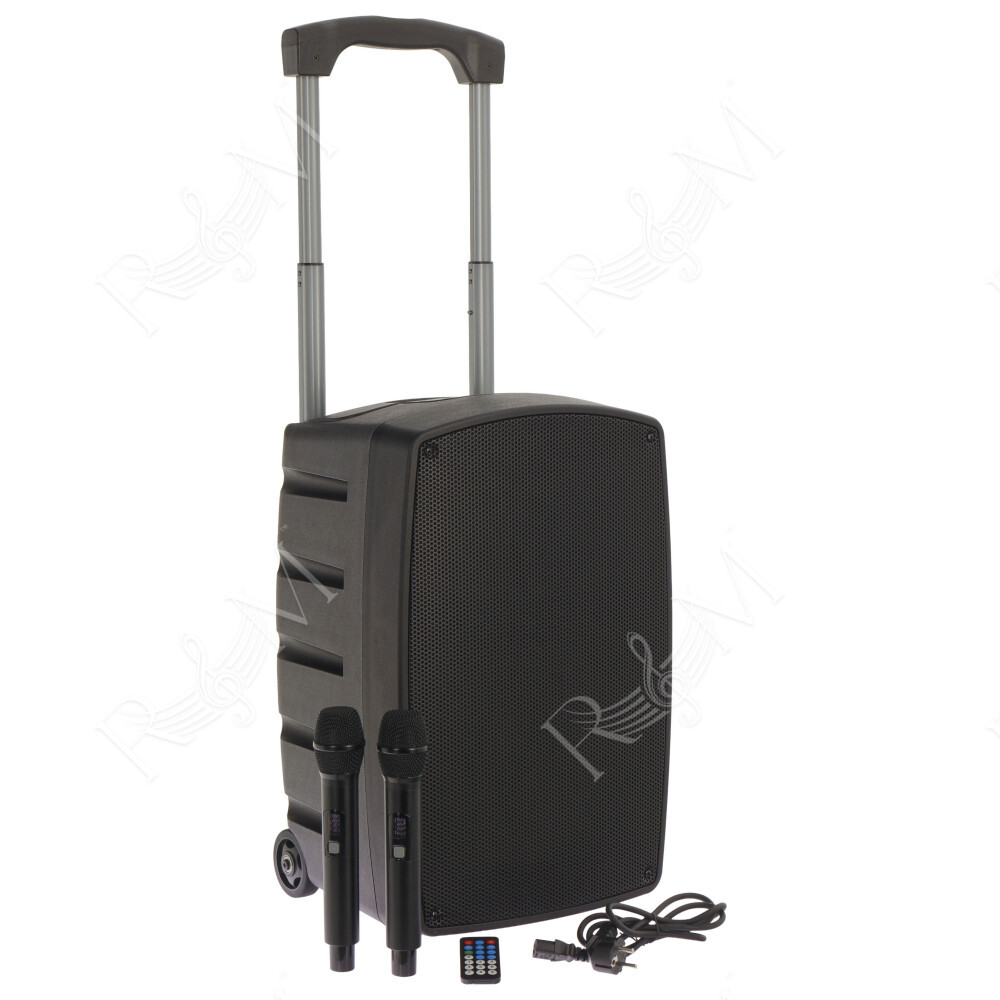 TR12-BT Altoparlante Portatile a Batteria con 2 Microfoni Wireless e Bluetooth
