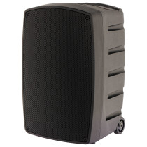 TR12-BT Altoparlante Portatile a Batteria con 2 Microfoni Wireless e Bluetooth