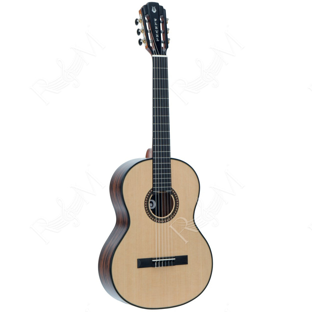 Expression P800 Chitarra Classica 4/4