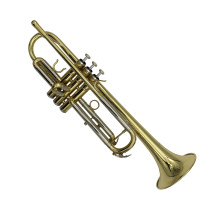 6010