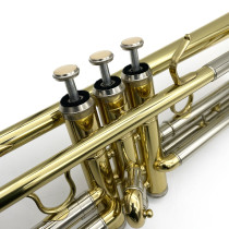 6010