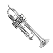6020