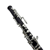 OBE100