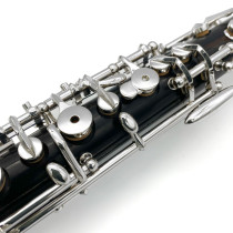 OBE301