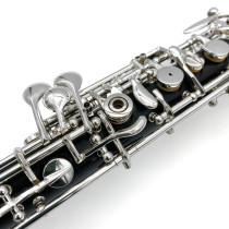 OBE301