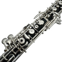 OBE101