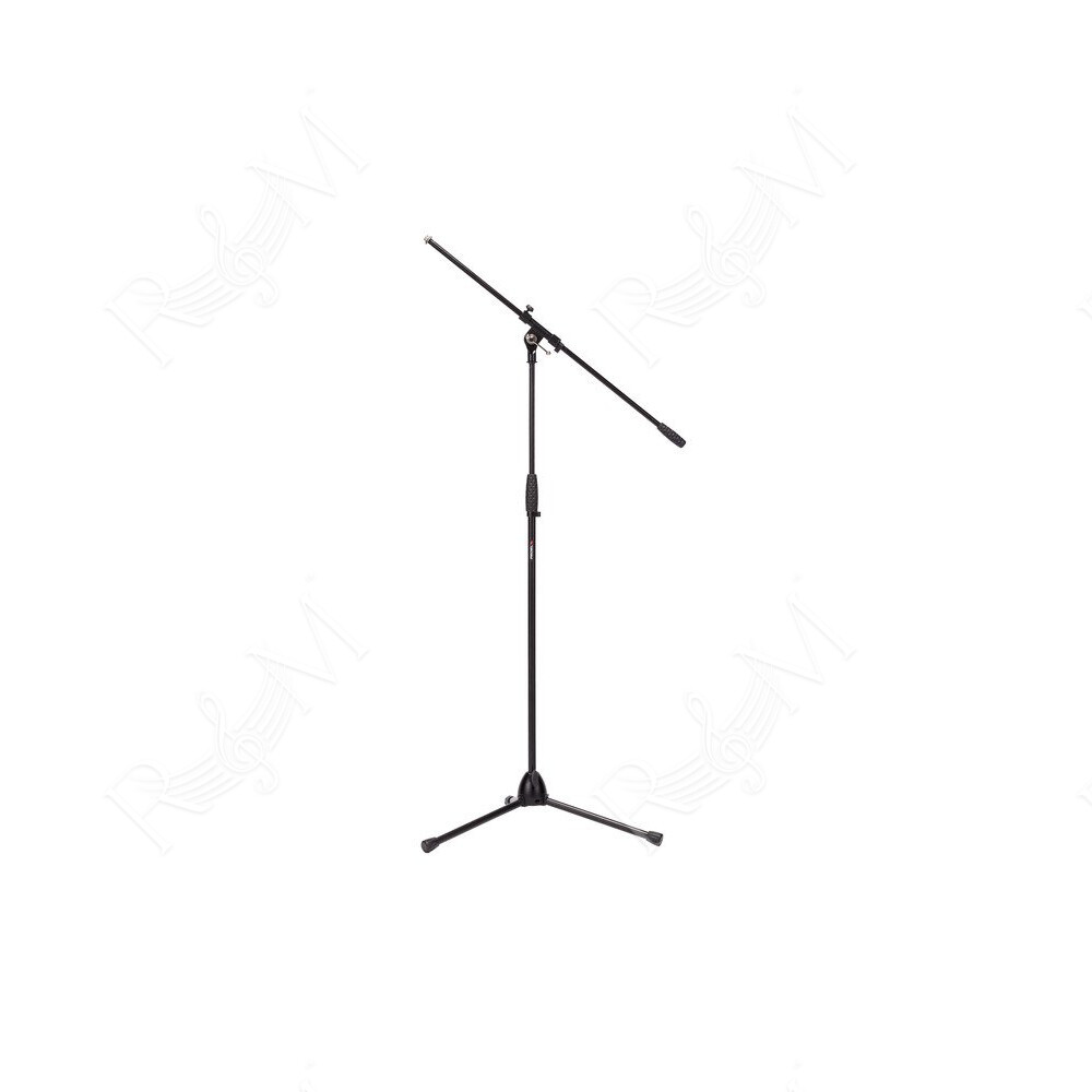 Asta professionale con giraffa per microfono.