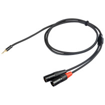 Cavo audio professionale ”Y” con connessioni spina jack Stereo Ø 3.5 mm REAN - 2 x spina volante XLR 3P REAN . Lunghezza 0.3 m. 