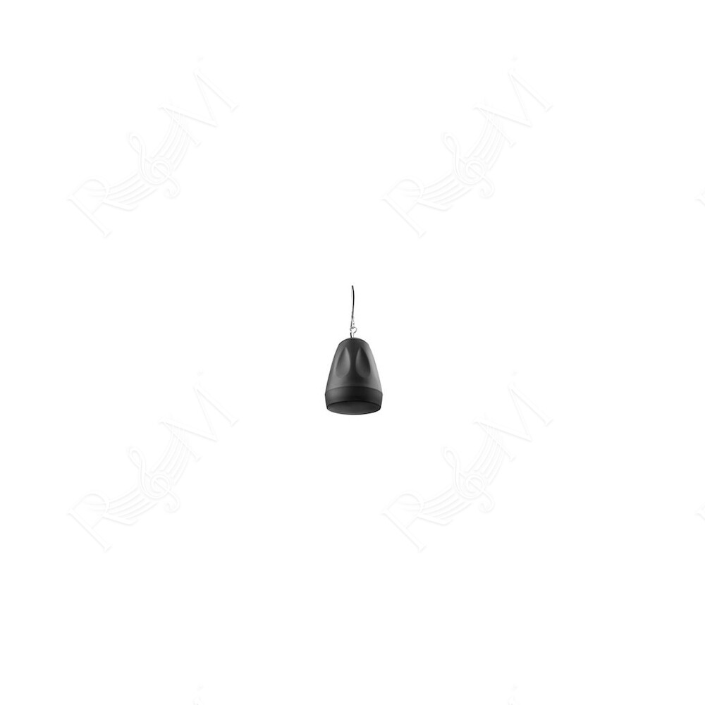 PDS65B Pendant Speak.6,5100V Black