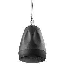 PDS65B Pendant Speak.6,5100V Black