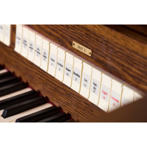 Opera 200 | Organo Digitale a 2 Manuali con Physis Plus