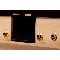 Maestro 40 DLX | Organo Digitale Physis Plus Surround
