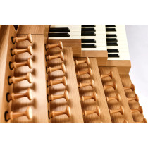 Ouverture 355 | Organo Digitale Physis Plus Surround 10.2