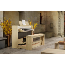 Viscount Domus S5 Organo Digitale Professionale 2 Manuali 39 Registri