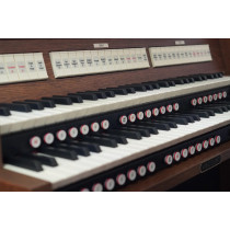 Viscount Domus S4 Organo Digitale Professionale 32 Registri
