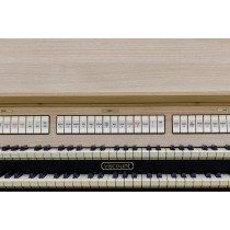 Viscount Domus 4 Organo Digitale Professionale 32 Registri
