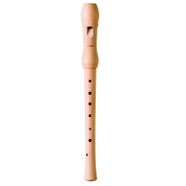 B9565 GERMAN