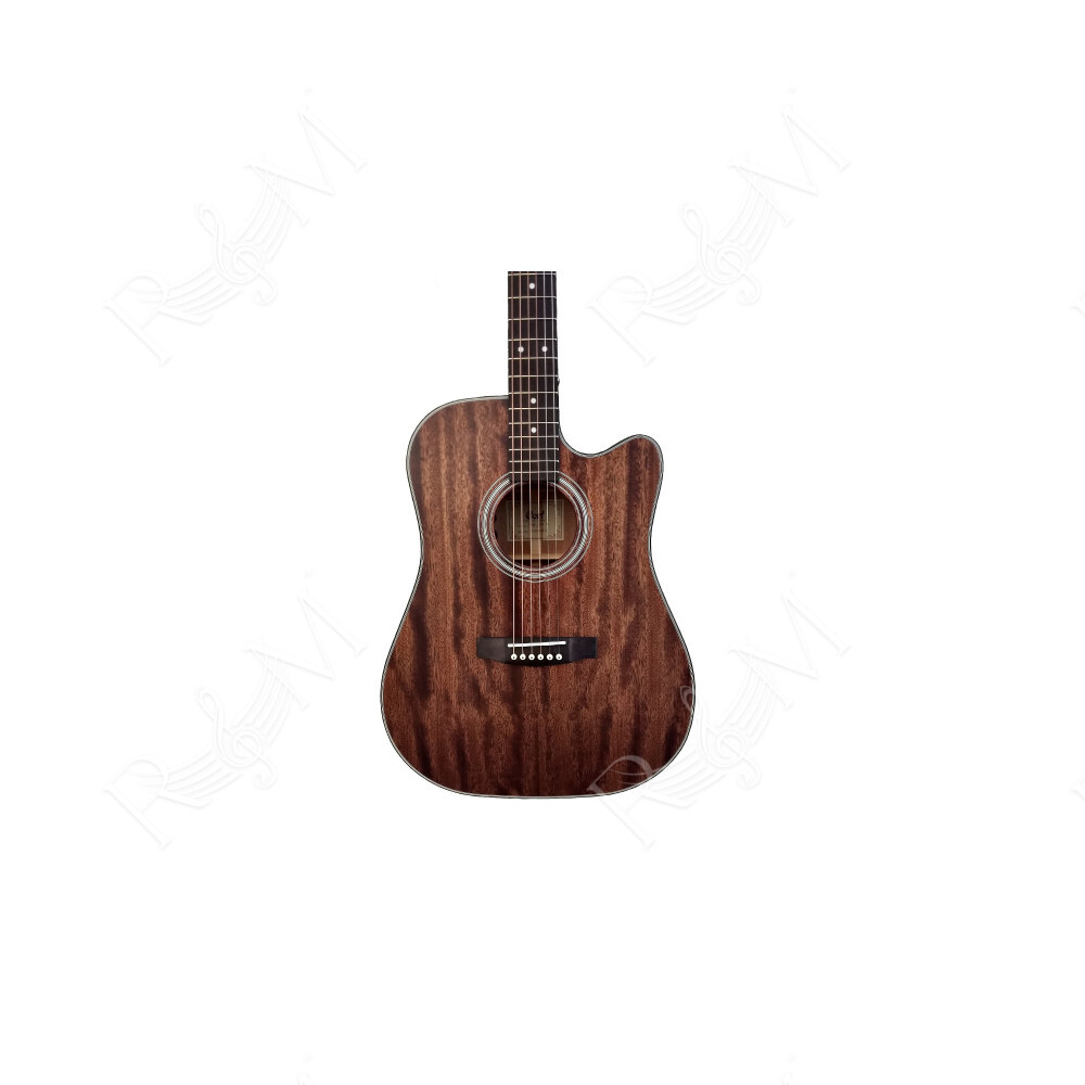 GUIT ACUST PURE-DCMF NS W/BAG
