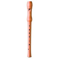 B9501 GERMAN