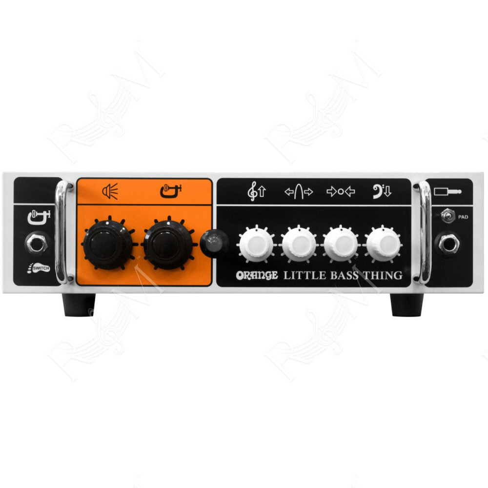 BASS LITTLE THING