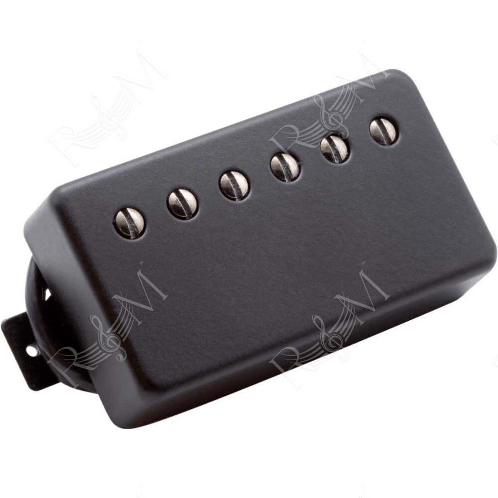 SAT NIGHT SPCL NECK BLK CV