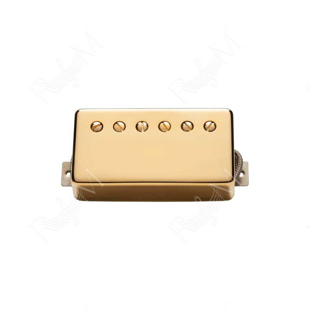 APH-2N SLASH ALNC II PRO HB GOLD COVER