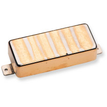ANTQ II FOR FIREBIRD NECK GLD CVR