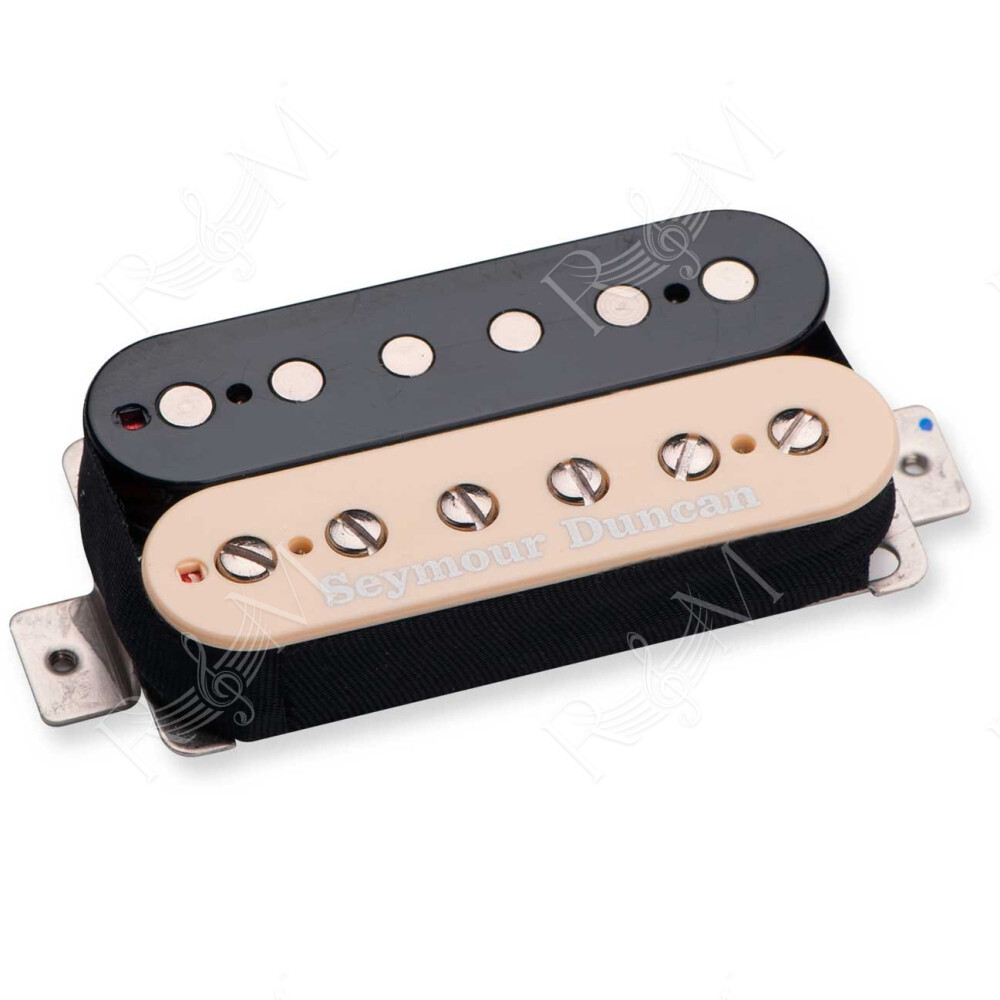 JASON BECKER BRIDGE ZEBRA