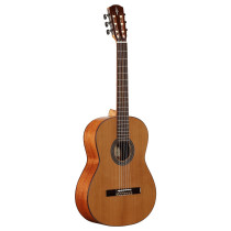 AC65 ARTIST