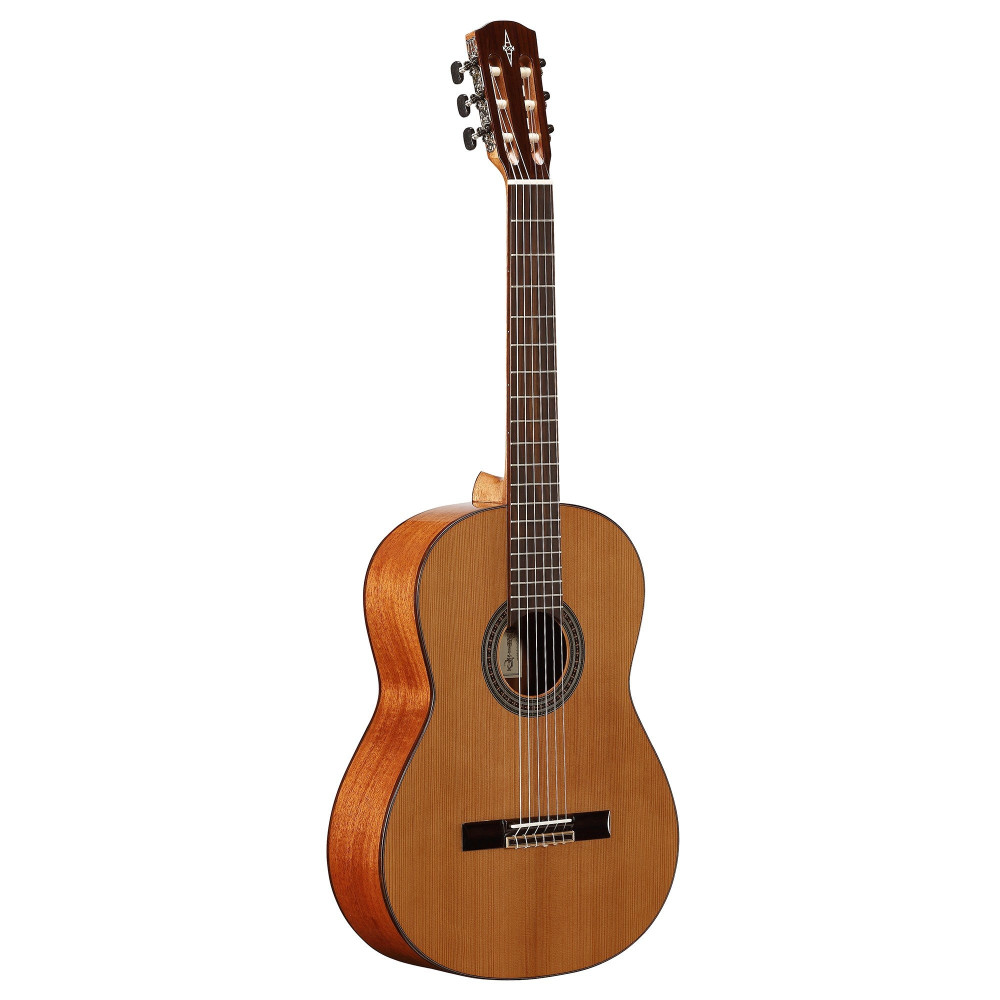 AC65 ARTIST