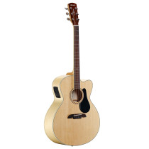 AJ80CE ARTIST