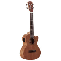 RU22TCE REGENT UKE