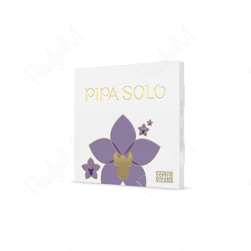 PS01 PIPA SOLO A-STRING